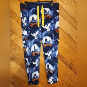 Wizarding World of Harry Potter blue Hogwarts and Hedwig medium pajama pants